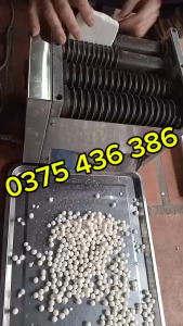 Máy vo viên trân châu tươi làm khoai dẻo viên hoàn mềm - bánh nhãn 8mm