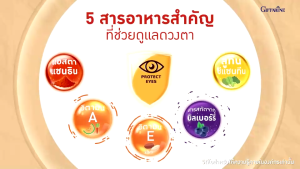แอล ซี วิต พลัส วิตามินเอ ลูทีน ซีแซนทีน Lz vit plus A GIFFARINE Vitamin A บำรุง สายตา บำรุง จอตา ป้องกันแสงสีฟ้า
