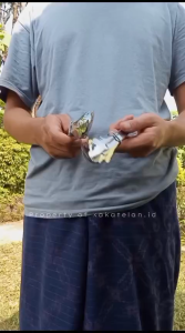 Penjepit Makanan - Food Tongs - Capitan Makanan Murah