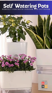 SG Seller] Lightweight Self-Watering Plant Pot with Visible Reservoir - Ideal for Easy Care of Indoor and Outdoor Planter