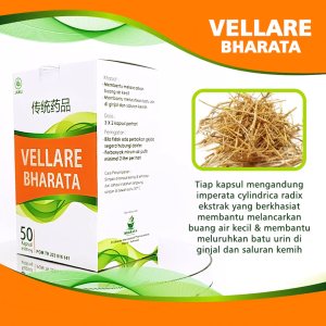 VELLARE BHARATA OBAT PELURUH BATU EMPEDU DAN GINJAL BPOM TANPA EFEK SAMPING