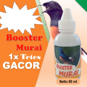Booster Murai 60 ml / Vitamin murai batu biar gacor / Vitamin murai super fighter / Vitamin murai batu buat lomba / Vitamin murai batu / Vitamin murai trotol agar gacor / Vitamin murai anti ngelowo / Vitamin murai trotol / Vitamin murai drop mental