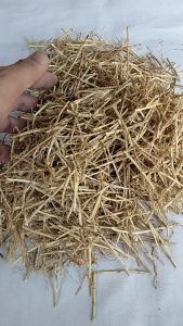 100 gr Akar Alang Alang Kering Cacah Bersih Higienis