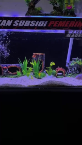 Paket Hemat 8 pcs Hiasan Aquarium Ornamen Akuarium dan Dekorasi Aquascape