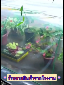 พลาสติกคลุมโรงเรือน พลาสติกใส พลาสติกโรงเรือน ฟิล์มPE กันฝน Green House หนา 150 ไมครอน UV7% โรงเรือนแคคตัส พลาสติกปูบ่อ กันสาด