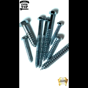 1/4 5/16 3/8 LAGSCREW | LAG SCREW EXPANSION ANCHOR | EverTop Online