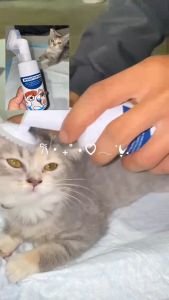 Smooth foam instan grooming kucing anjing sampo mandi kering wangi tanpa bilas magic foam 100ml COD