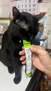 VFcore 30 ซอง ขนมแมวเลีย ผลิตภัณฑ์เสริมแมว ไลซีน บำรุงเลือด บำรุงข้อต่อ บำรุงร่างกาย (30 ซอง)