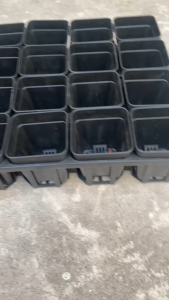 Bộ Khay Nhựa Đen 38x48x9cm Kèm 20 Chậu Vuông 10x9cm Cho Trồng Rau Sen Đá Xương Rồng - Xuất Xứ Việt Nam