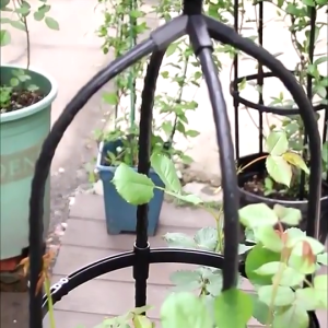 SG Homepeas® Plant Support Climbing Frame Climbing Vine Rose Trellis Support Pile Garden Trelli Attached Roses Climbing Frame Stand