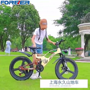 Xe đạp thể thao FOREVER chính hãng 3 PHUỘC thủy lực thắng đĩa kép Khung Vành Đúc Magie dành cho trẻ em từ 8-18 tuổi