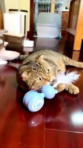 Pet Fun Tumbler Cat Toy Ball Feather Cat Teasing Stick Catch Ball Kitten Interactive Toy Funny Interactive Toy