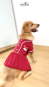 POMAPOO - Baju Kucing dan Baju Anjing Baseball Dress Dan Baseball Tee