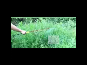 Tree Weed Control Removal Powder 500g Rotten Root Exceptional Penetration Colorless Prevent Weed Regrowth Racun Serbuk Penyingkiran Rumpai Sambau Tiada Berwarna Berbau Cegah Pertumbuhan Semula Rumpai Mati Akar Remove Big Tree Shrubs Weed Bamboo 灭树根除草粉药水剂