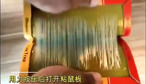 (Mouse cant escape) NAJIA Mouse Rat Sticky Trap Glue Board Mice Rodent Glue Board Mouse & Rat Trap Glue Board mouse glue trap Bait Trap COD