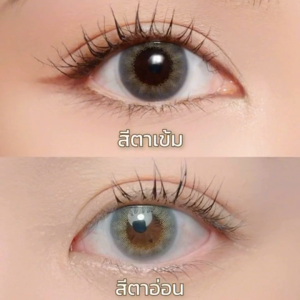 PEGAVISION คอนแทคเลนส์สี รายวัน รุ่น KAORI สี Lavender (10 เลนส์/กล่อง)