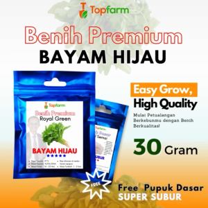 Benih Topfarm / Benih Bayam Cabut Hijau Super / Benih Bayam Cabut / Benih Bayam Hijau Terbaik / Benih Bayam Daun Besar / Benih Bayam Hijau Eceran