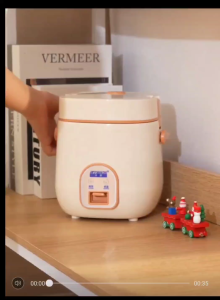 PESKOE Mini Rice Cooker with Non-stick Pot and Steamer (1.2L/200W) For 1~2 Person