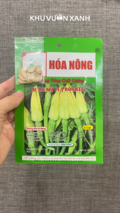 Hạt giống Bí ăn nụ F1 Rocket - Gói 2gr - Tỉ lệ nảy mầm >90% - Trồng quanh năm