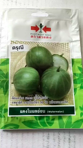 ผักซอง ศรแดง แตงโมอ่อน ดรุณี หมดอายุ06/11/2568 จำนวน 70 เมล็ด ปลูกง่าย ติดผลง่าย ผลดก เนื้อผลเเน่น รสชาติดี npkplant