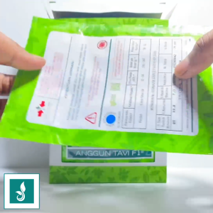 Benih Oyong Gambas ANGGUN TAVI F1 Isi 75 Butir Cap Panah Merah