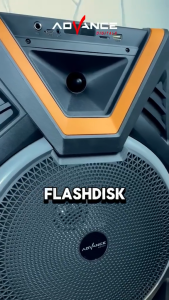 Advance Speaker KS-1221 Wireless Bluetooth Portable 12 Inch Plus Mic Wireless