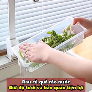 Khay Nhựa Chia Thực Phẩm Rau Củ Ngăn Đông Hộp Chữ Nhật Trữ Đông Thức Ăn Chế Biến Nhựa PP An Toàn