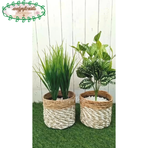 Tanaman Hias Daun Kucai X4 & Tanaman Hias Watermelon Cover Pot Seagrass Coklat Mini Pajangan Ruang Tamu