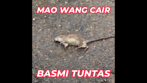 Paket 10 Biji Racun Tikus Mao Wang CAIR MERAH Paling Ampuh