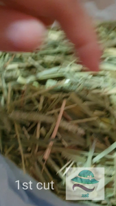 1st Cut & 2nd Cut Timothy Hay 1kg