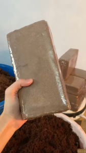 Combo 7 Viên Nén Xơ Dừa Đất Trồng Cây Hữu Cơ Tiện Ích Bổ Sung Vi Sinh Cải Thiện Giữ Ẩm Cho Đất Trồng Phân Trùn Quế Và Hạt Giống Cây Trồng - Lazada