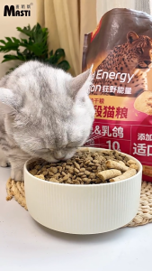 MASTI premium CAT FOOD 1.5 kg makanan kucing 宠物猫粮 high nutrition with rabbit and pigeon real meat floss First Mate Cat Food Cat Multivitamin - Lazada