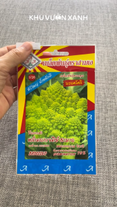Hạt giống Súp lơ (Bông cải) San hô Romanesco Broccoli - Gói khoảng 200 hạt - Nhập Thái Lan