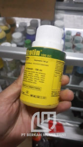 Insektisida Rizotin 100EC Kemasan 500ml / 250 ml / 100ml Obat Semprot Rijotin