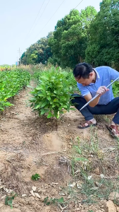 Gardening Tools Weeding Shovel Trowel and Rake Labor-saving Hand Shovels For Digging Transplanting Planting Weeding Remover Tool