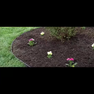 【Bonus Nails】10 Meter Garden Border Lawn Grass Edge Edging Dekorasi Taman Pagar Taman Rumput Fence