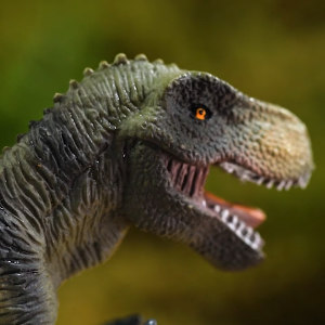 Mideer Simulation Animals and Dinosaurs Toys Set by Mideer