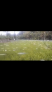 Tali Perak Pengusir Burung Sawah / Hama / kilauan maximal tidak kusut / Tali pertanian Panjang 800 M