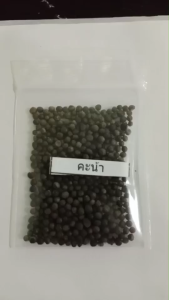 เมล็ดพันธุ์คะน้า ซองละ 5 บาท