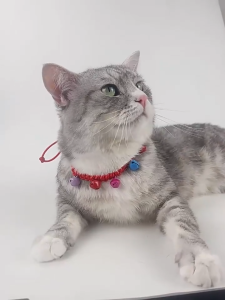 Vòng cổ cho Chó Mèo nhỏ gắn nhiều chuông lục lạc màu trơn- Love pets shop