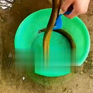 MI-C1143 Pisau Pembersih Usus Ayam / Pisau Pembelah Perut Ikan Udang Belut Multifungsi Alat Pembelah