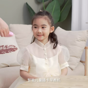 Chinese English Talking Flash Cards with 255 Flashcard Interactive Learning  Learn Chinese Mandarin Kids Toddler