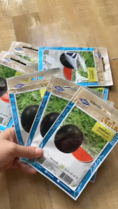 Hạt giống dưa hấu tròn vỏ đen ruột đỏ-30 hạt