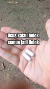 Bcuelov probiotic and prebiotic supplements support immune system health support gut health digestion and absorption