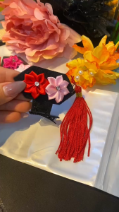 Mũ cho chó mèo  kẹp hoàn châu cách cách kute đáng yêu