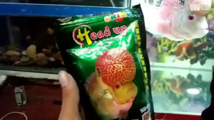 OKIKO HEAD UP Huncher Size M - Pellet Ikan LOUHAN Pakan Makanan Pelet