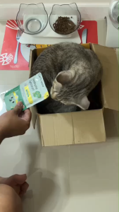 Cat s Taste อาหารเปียกแมว ( 1 ซอง ) (8 รสชาติ 75 กรัม) - VTPetshop