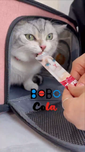 50pcs Camilan Kucing Creamy Treats Kucing Snack Kucing Cat Treats