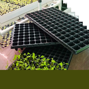 Jirifarm Paket 100 pcs Tray semai / Bibit Lubang 21 32 50 72 105 128 162 200288 Tebal Murah