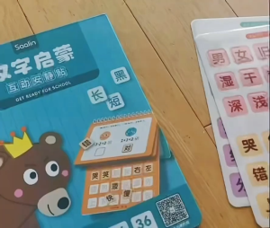 [SG STOCK] Saalin Chinese Get Ready For School 汉字启蒙 Children Chinese Early Educational Development Reading